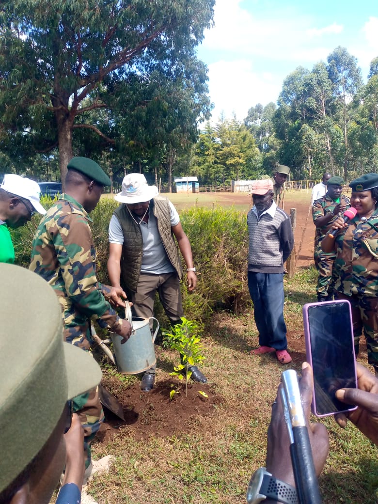 International Forest Tree Planting Day