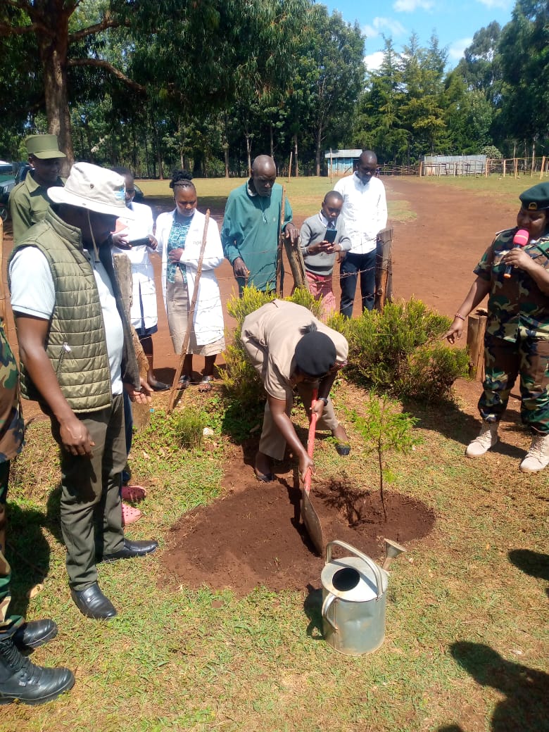 International Forest Tree Planting Day